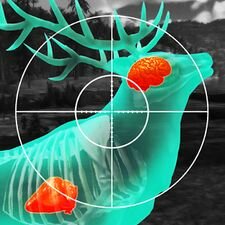 ������� ����� Wild Hunt:Sport Hunting Games. ���������� ����� 3D (��� ��������������) �� �������