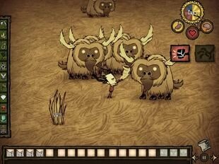 Взлом Don't Starve: Pocket Edition (Много монет) на Андроид бесплатно Взлом Don't Starve: Pocket Edition (Много монет) на Андроид бесплатно